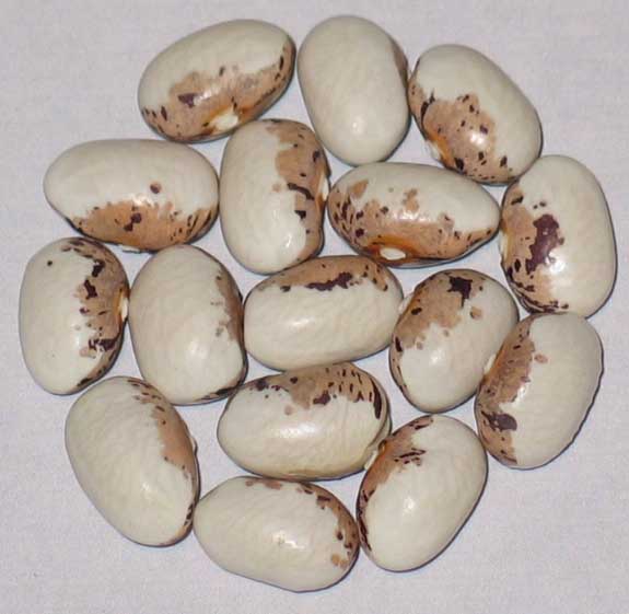 image of Del Angelo beans