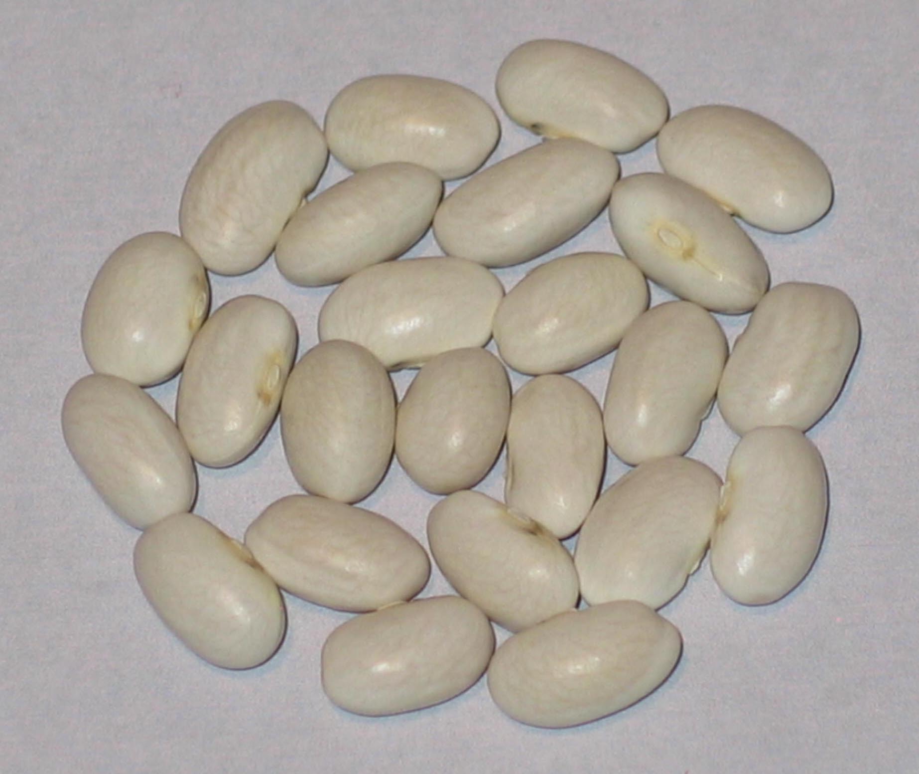 image of Eagle Island White beans