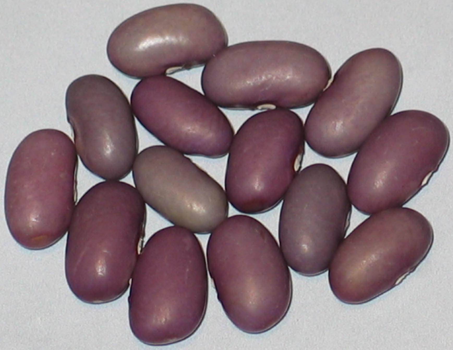 image of Kitoba beans