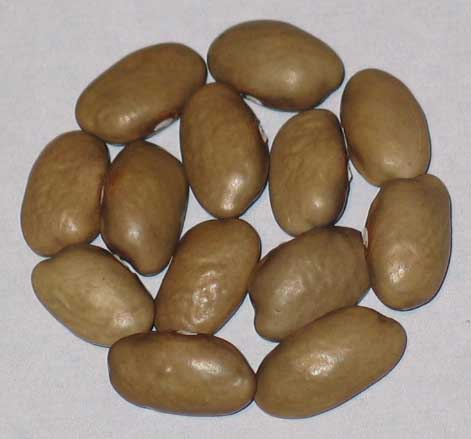 image of Ma Williams beans