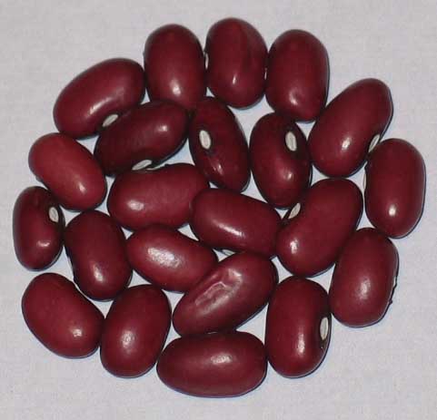 image of Small Red beans