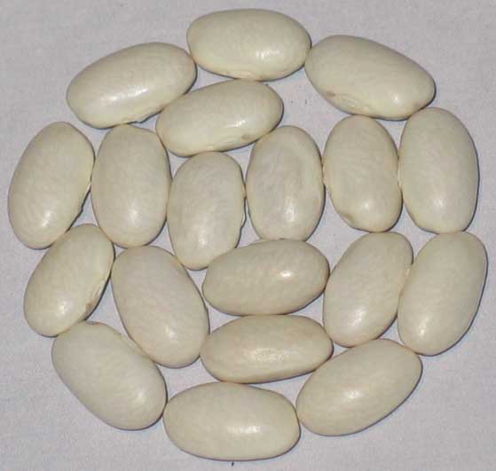 image of Aunt Maggie beans