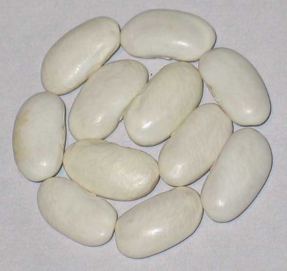 image of Harvey's White Haricot beans